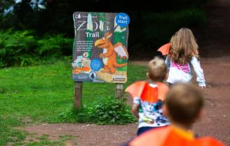 Zog’s Christmas Code at Cardinham Woods