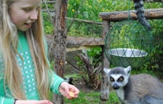 Newquay Zoo