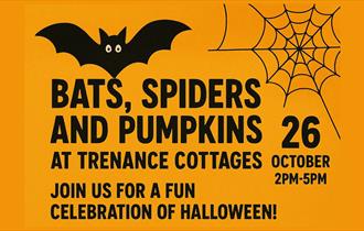 Bats, Spiders and Pumpkins at Trenance Cottages