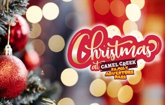Experience the Magic of Christmas at Camel Creek