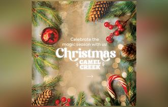 Experience the Magic of Christmas at Camel Creek