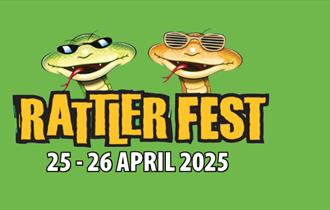 Rattler Fest at Healeys Cornish Cyder Farm