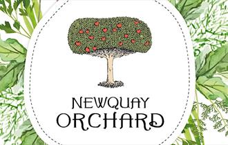 Community Garden Design- for Community Growers at Newquay Orchard