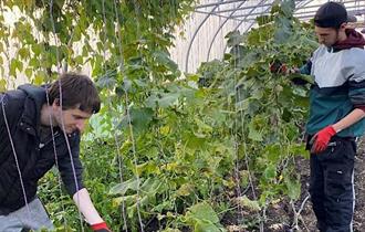 Newquay Orchard - Supported Internship Open Evening