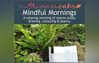 Mindful Mornings with From Acorns to Oaks 2024 at Newquay Orchard