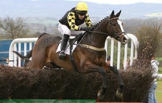 Point to Point Horse Racing at Trebudannon 2024