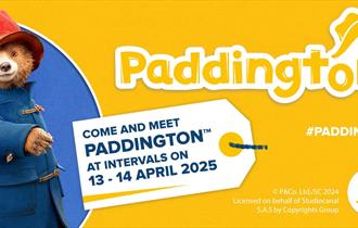 Meet Paddington at Lappa Valley!