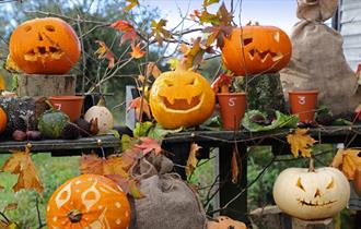 Halloween Half Term Fun at Trerice Manor 2024