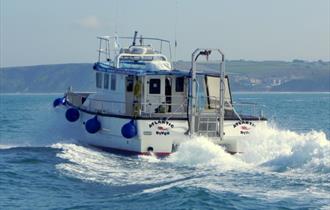 Newquay Sea Safaris and Fishing