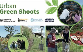 Urban Green Shoots at the Barrowfields