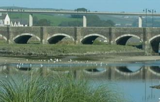 Camel River Festival, Wadebridge, Cornwall