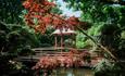 The Japanese Garden