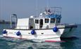 Newquay Sea Safaris and Fishing