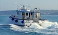 Newquay Sea Safaris and Fishing