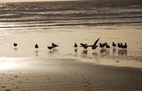 Newquay Early Bird Booking Discounts for 2024
