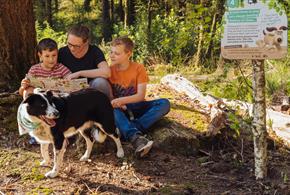 Forest Walkies with Wallace & Gromit