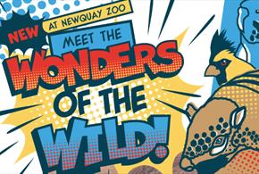 Wonders of the Wild at Newquay Zoo