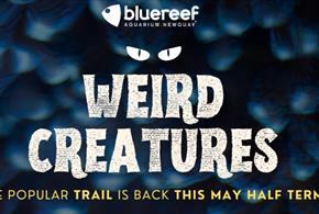'Weird Creature's' at Newquay's Blue Reef Aquarium