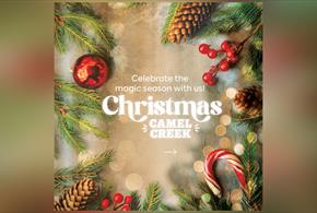 Experience the Magic of Christmas at Camel Creek