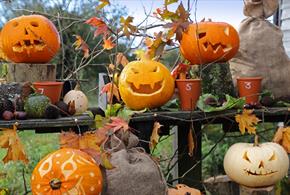 Halloween at Trerice Manor