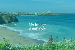 Wassail at Newquay Orchard