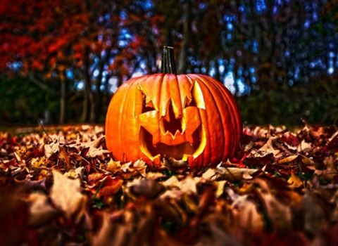 Thumbnail for Halloween