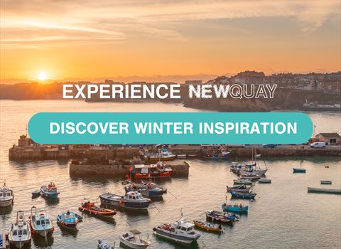 Thumbnail for Experience Newquay