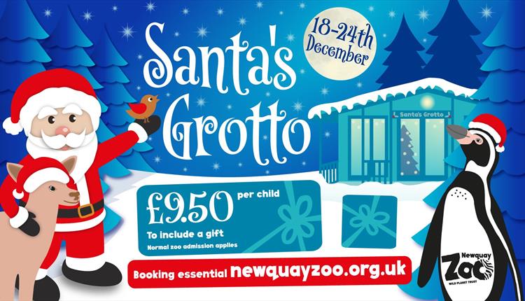 Santa is Coming Back to Newquay Zoo