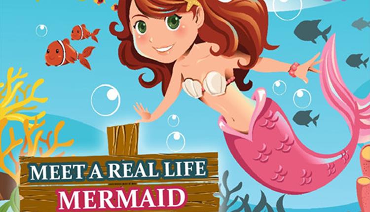 Meet a Real-Life Mermaid at the Blue Reef Aquarium