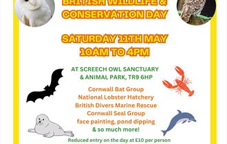 British Wildlife & Conservation Day at Screech Owl Sanctuary