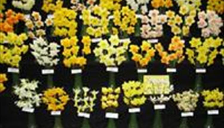 Falmouth Spring Flower Show