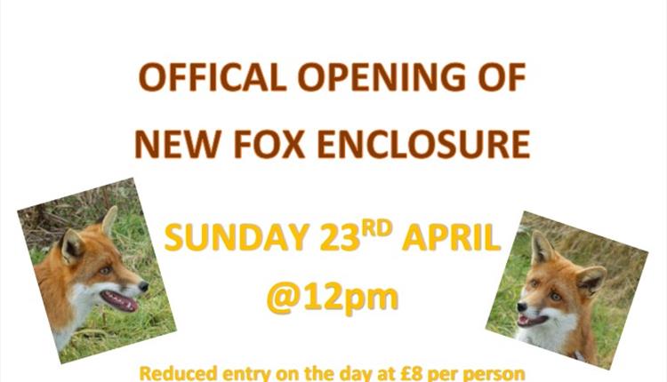 Screech Owl Sanctuary Official Opening of the New Fox Enclosure 2023
