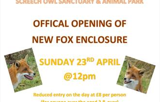 Screech Owl Sanctuary Official Opening of the New Fox Enclosure 2023