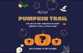 Healeys Cyder Farm Pumpkin Trail