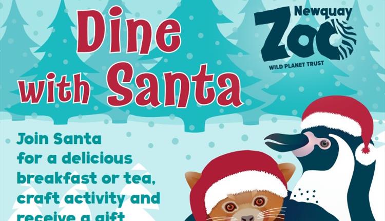 Dine with Santa at Newquay Zoo