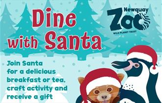 Dine with Santa at Newquay Zoo