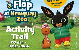 Bing & Flop at Newquay Zoo