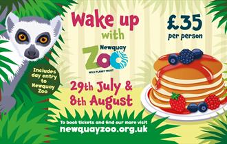 Wake Up With Newquay Zoo