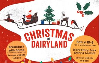 Christmas at Dairyland Farm Park