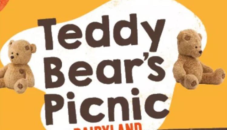 Teddy Bears Picnic at Dairyland Farm Park 2023