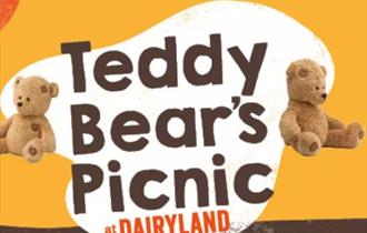 Teddy Bears Picnic at Dairyland Farm Park 2023