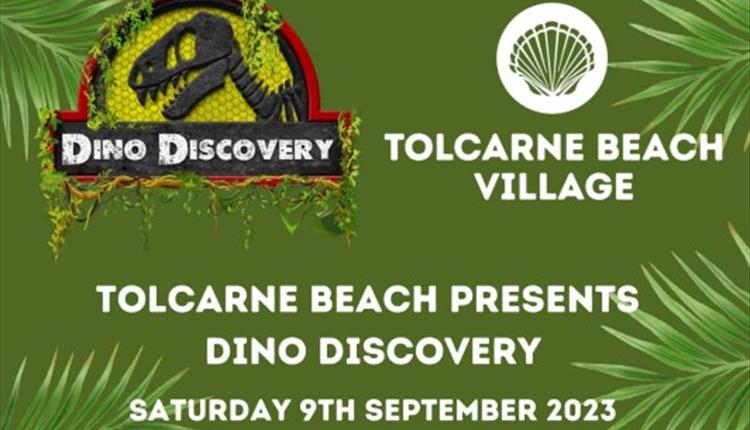 ROARSOME Family Fun at Tolcarne Beach