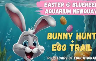 Easter Egg Hunt at Newquay's Blue Reef Aquarium