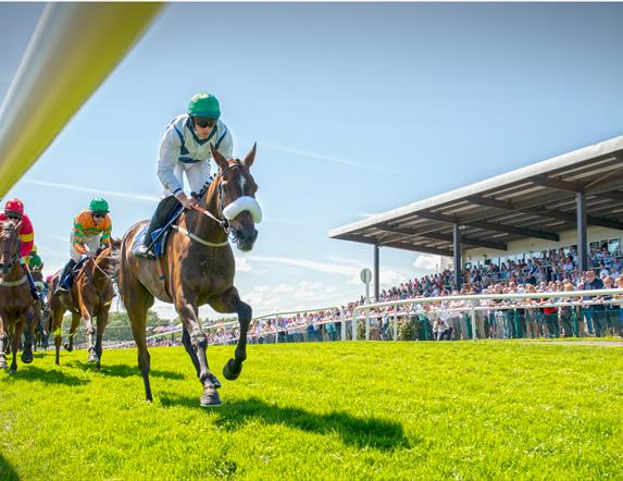 Downpatrick Racecourse Fixtures