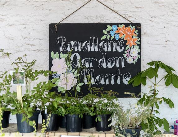 Autumn Plant Fair at Rowallane Garden