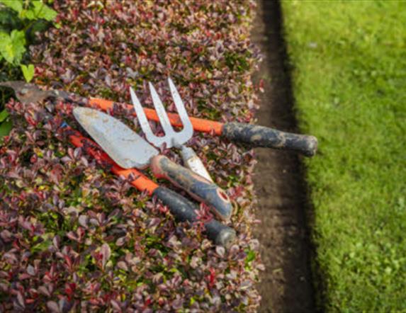 Garden Tools