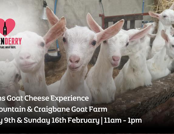 Sperrins Goat Cheese Experience Love LegenDerry Advert