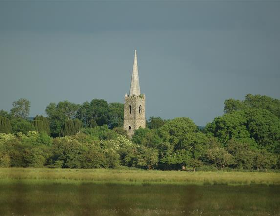 View of Church tower and spire protruding from behind trees in the middle of Church Island with marshy land in front of the trees and Lough Beg in fro