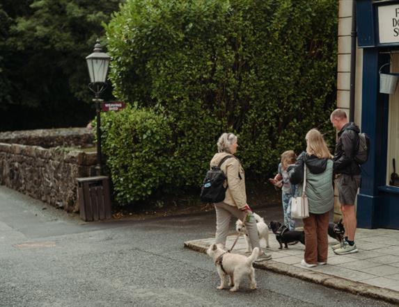 Learn about the use of detection dogs in conservation with CEDaR