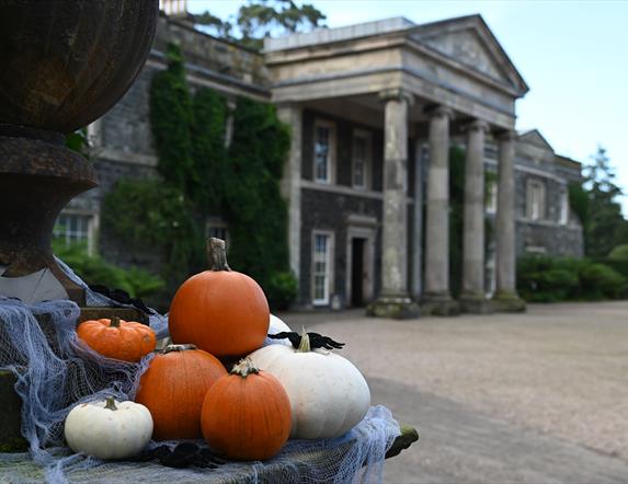 Pumpkins in front of the House